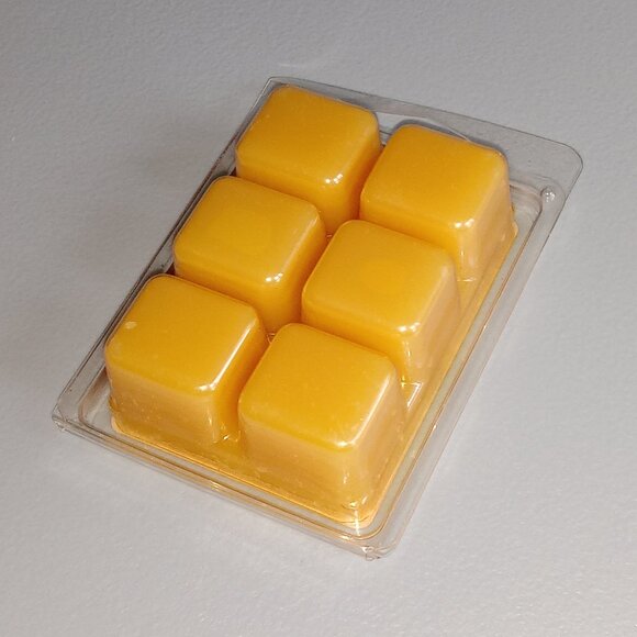 🎯 10 for $10 / Glittering Bayberry Garland Scented Wax Melts - Picture 2 of 6